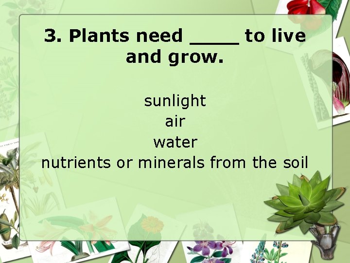 3. Plants need ____ to live and grow. sunlight air water nutrients or minerals