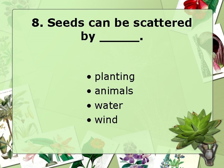 8. Seeds can be scattered by _____. • planting • animals • water •