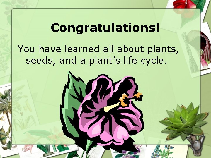 Congratulations! You have learned all about plants, seeds, and a plant’s life cycle. 