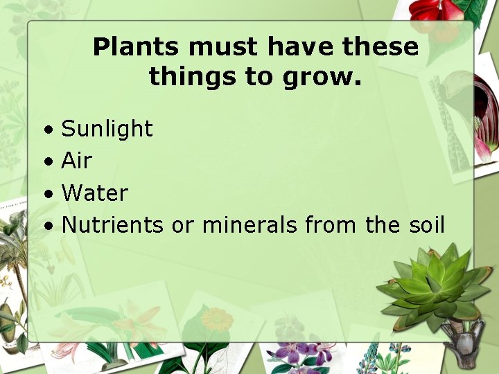 Plants must have these things to grow. • Sunlight • Air • Water •