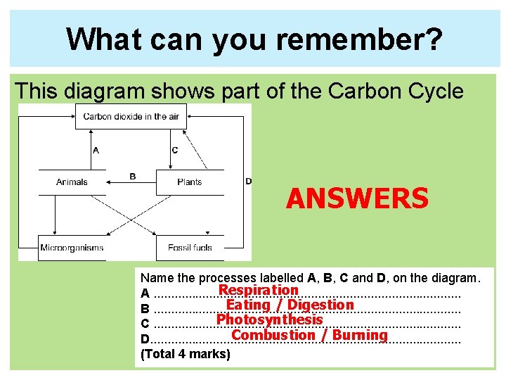 What can you remember? This diagram shows part of the Carbon Cycle ANSWERS Name What can you remember? This diagram shows part of the Carbon Cycle ANSWERS Name