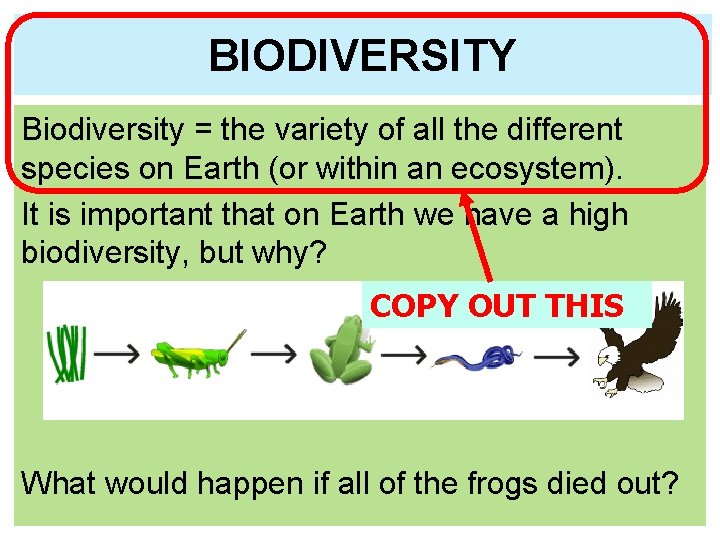 BIODIVERSITY Biodiversity = the variety of all the different species on Earth (or within BIODIVERSITY Biodiversity = the variety of all the different species on Earth (or within
