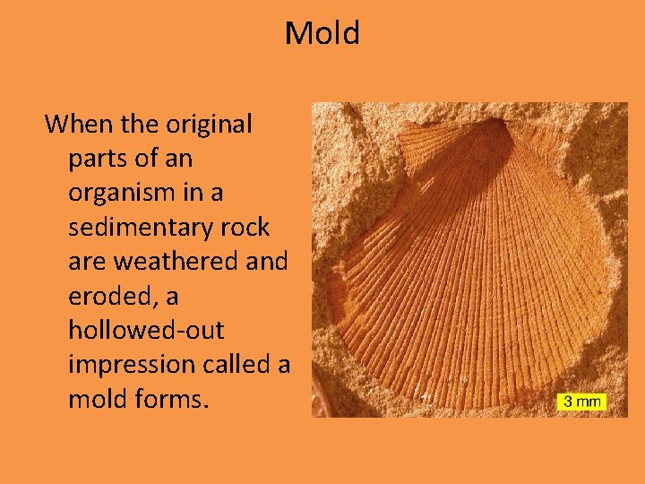 Mold When the original parts of an organism in a sedimentary rock are weathered