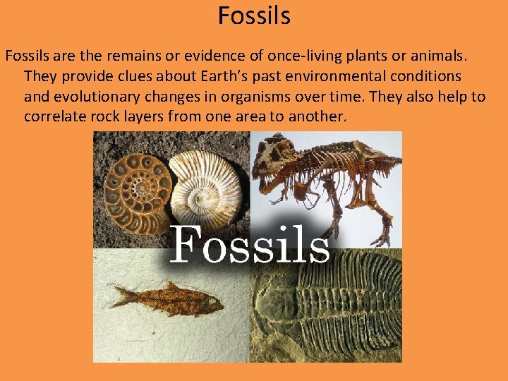 Fossils are the remains or evidence of once-living plants or animals. They provide clues