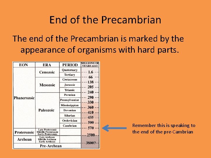 End of the Precambrian The end of the Precambrian is marked by the appearance