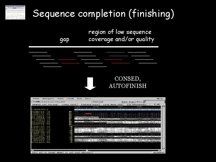 Sequence completion (finishing) gap region of low sequence coverage and/or quality CONSED, AUTOFINISH 