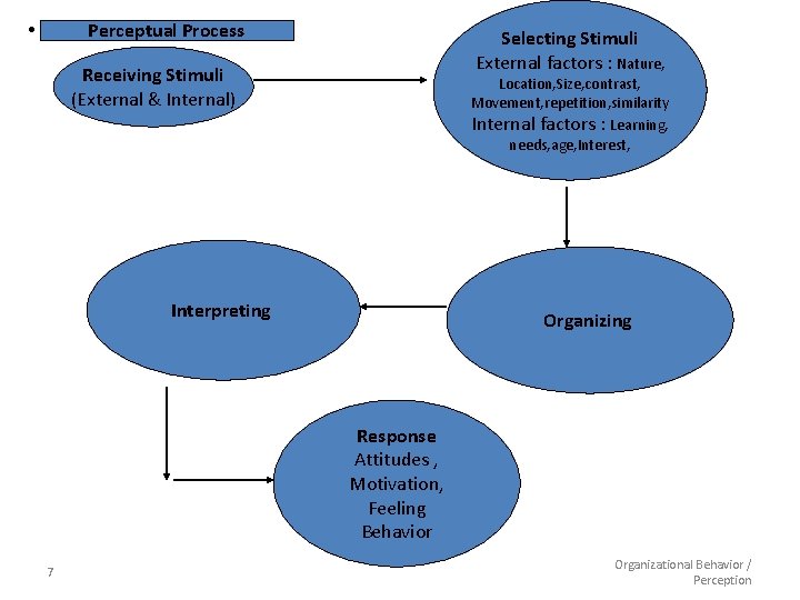  • Perceptual Process Selecting Stimuli External factors : Nature, Receiving Stimuli (External &