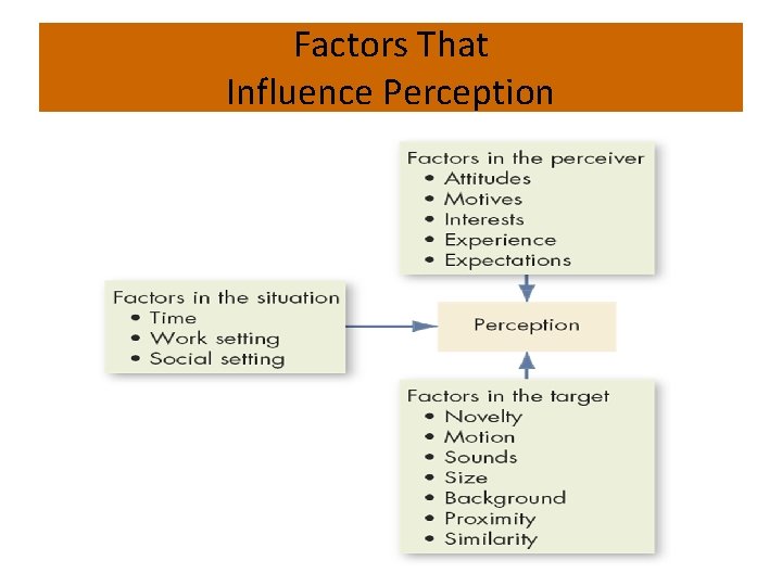 Factors That Influence Perception 