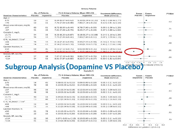 Subgroup Analysis（Dopamine VS Placebo） 