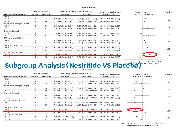 Subgroup Analysis（Nesiritide VS Placebo） 