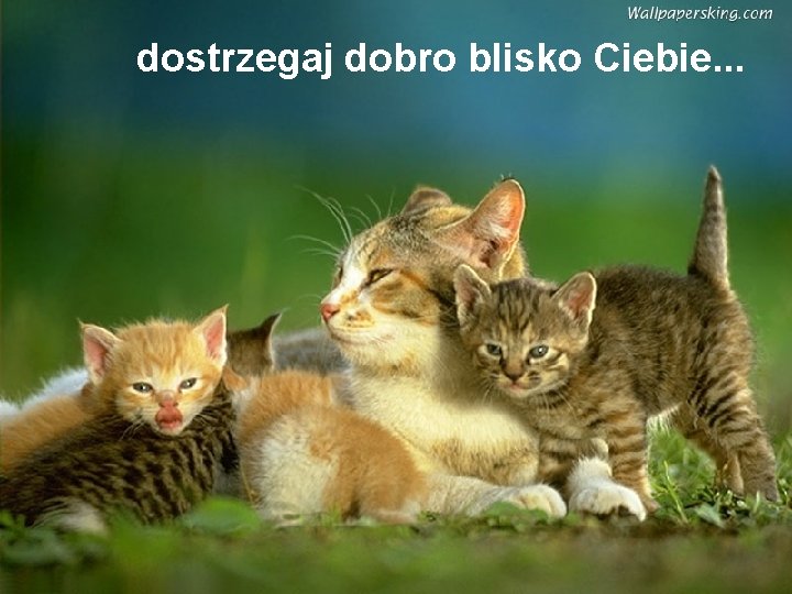 dostrzegaj dobro blisko Ciebie. . . 