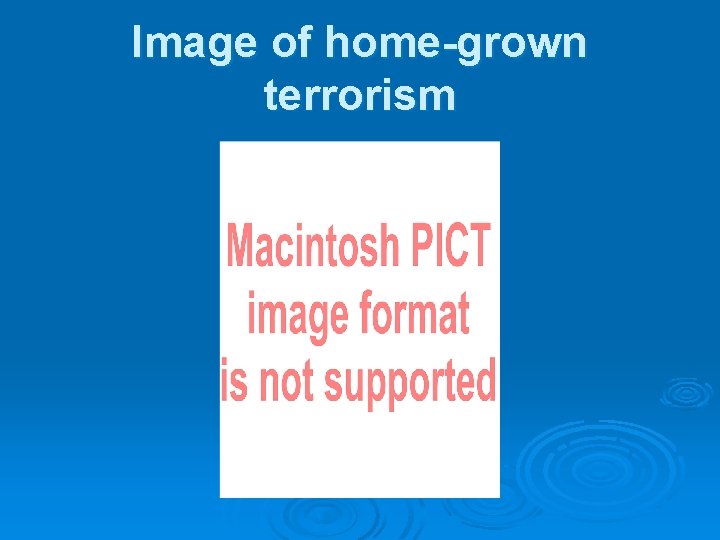 Image of home-grown terrorism 