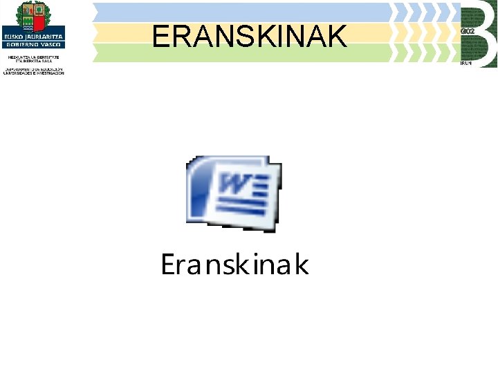 ERANSKINAK 