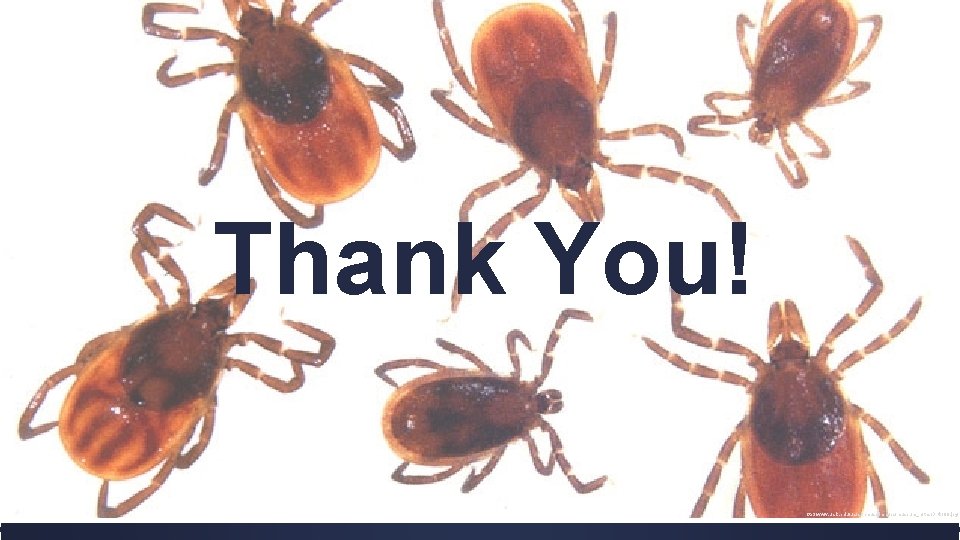 Thank You! http: //www. uark. edu/ua/arthmuse/images/museum_notes/Drtk 100. jpg 