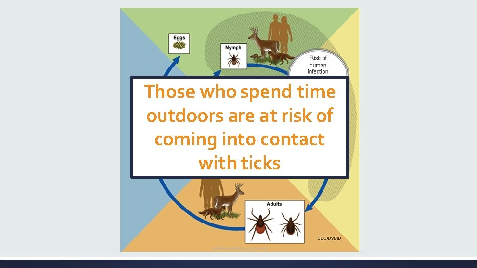 Those who spend time outdoors are at risk of coming into contact with ticks