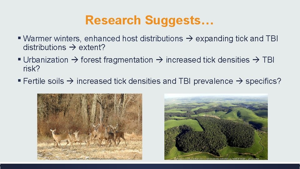 Research Suggests… ▪ Warmer winters, enhanced host distributions expanding tick and TBI distributions extent?