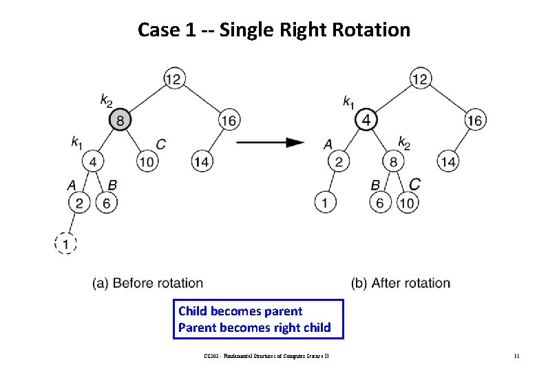 Case 1 -- Single Right Rotation Child becomes parent Parent becomes right child CS