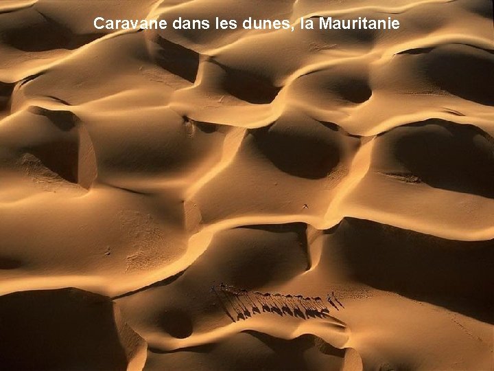 Caravane dans les dunes, la Mauritanie 