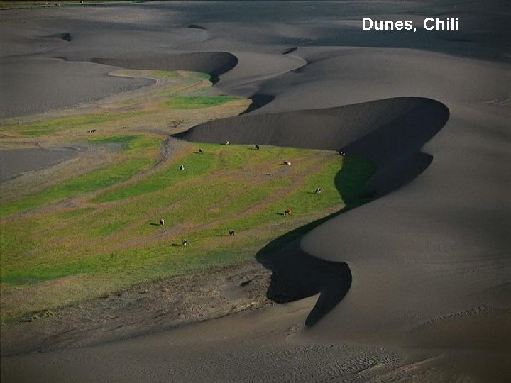 Dunes, Chili 