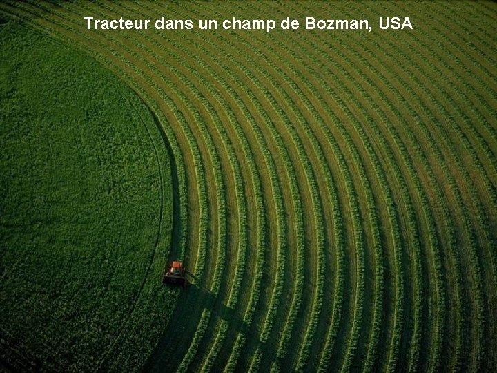 Tracteur dans un champ de Bozman, USA 