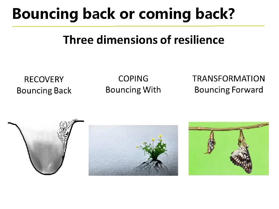 Bouncing back or coming back? 