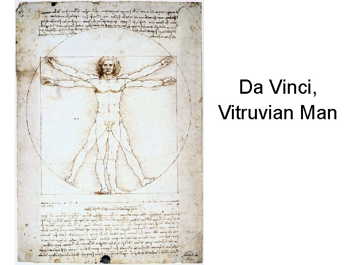 Da Vinci, Vitruvian Man 