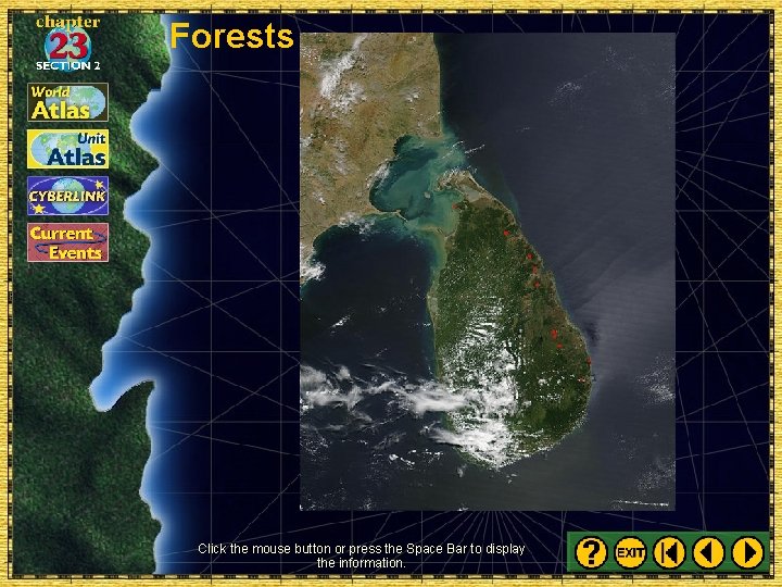 Forests Click the mouse button or press the Space Bar to display the information.