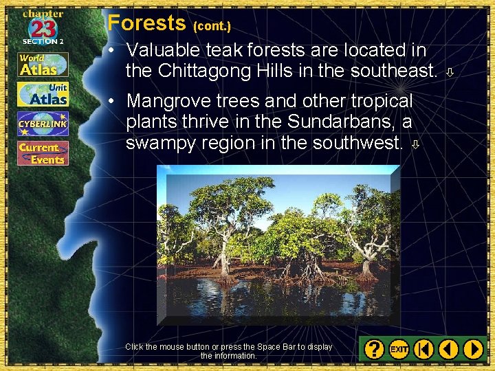 Forests (cont. ) • Valuable teak forests are located in the Chittagong Hills in