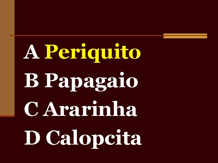 A Periquito B Papagaio C Ararinha D Calopcita 