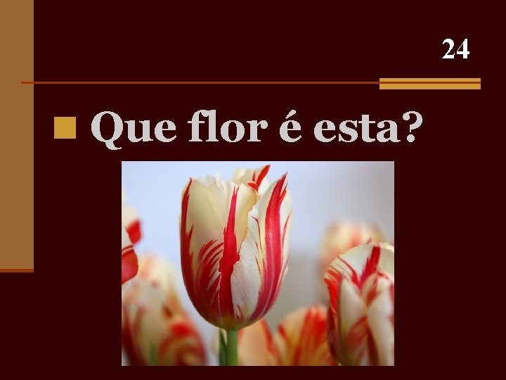 24 n Que flor é esta? 