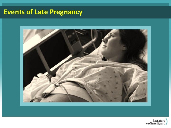 Events of Late Pregnancy 