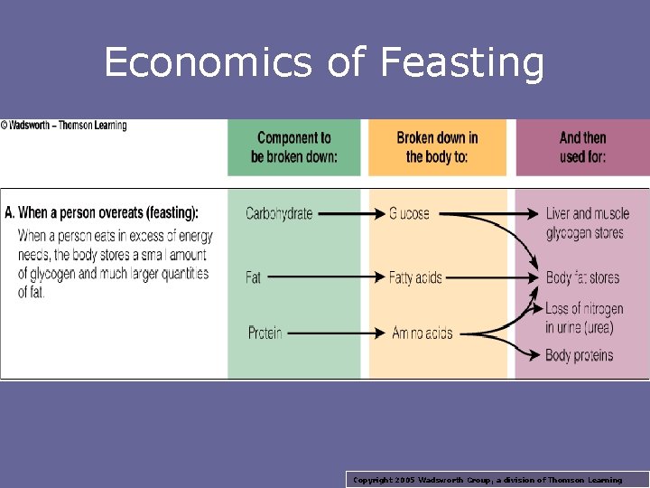 Economics of Feasting Copyright 2005 Wadsworth Group, a division of Thomson Learning 