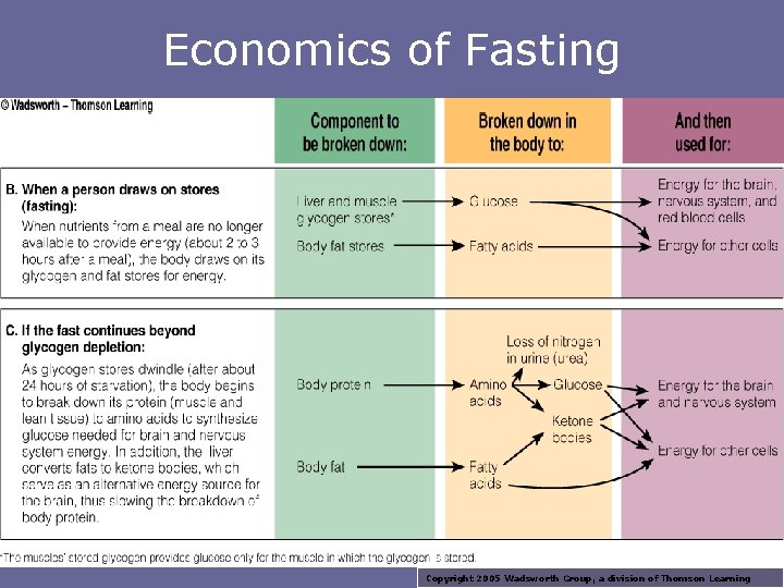 Economics of Fasting Copyright 2005 Wadsworth Group, a division of Thomson Learning 