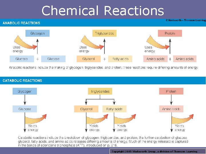 Chemical Reactions Copyright 2005 Wadsworth Group, a division of Thomson Learning 