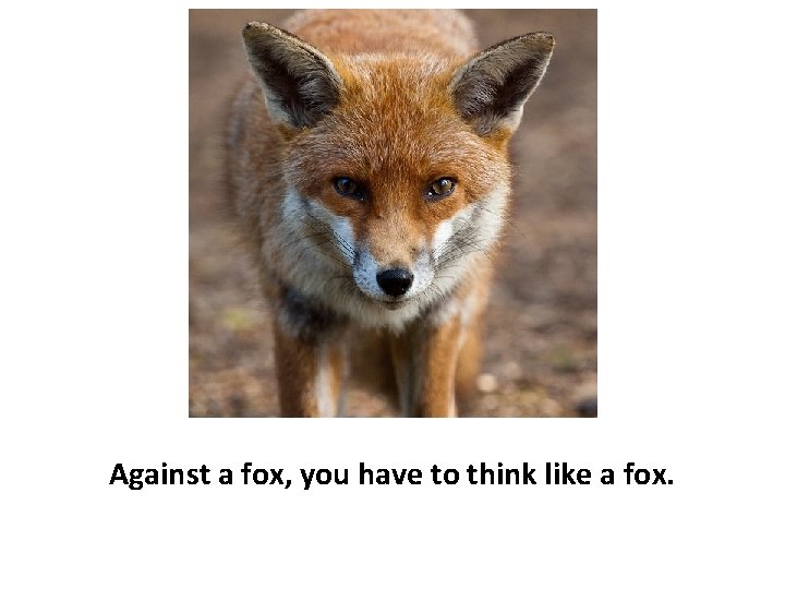 Against a fox, you have to think like a fox. 