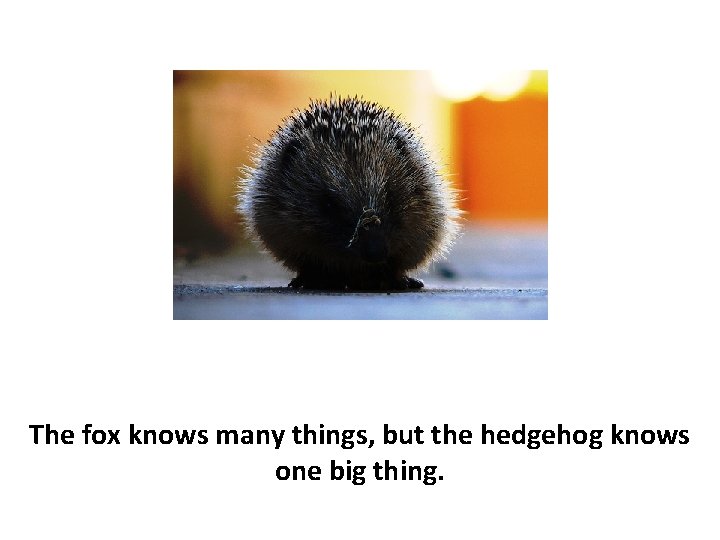 The fox knows many things, but the hedgehog knows one big thing. 