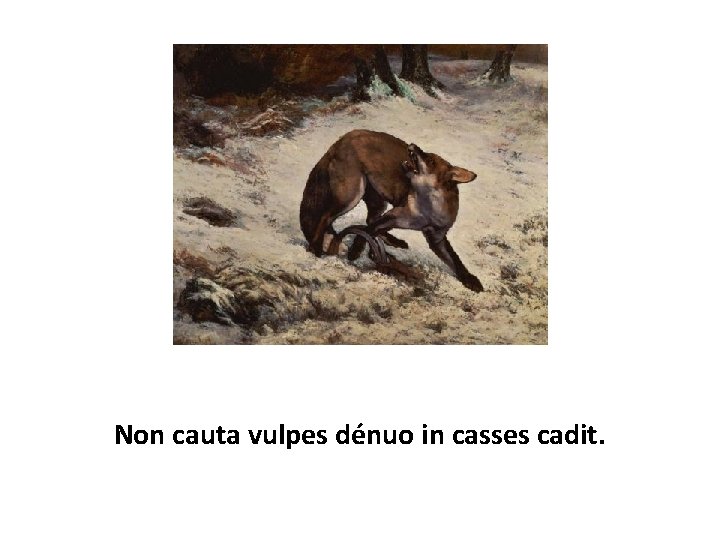 Non cauta vulpes dénuo in casses cadit. 