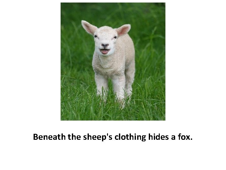 Beneath the sheep's clothing hides a fox. 