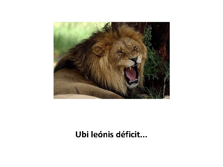 Ubi leónis déficit. . . 