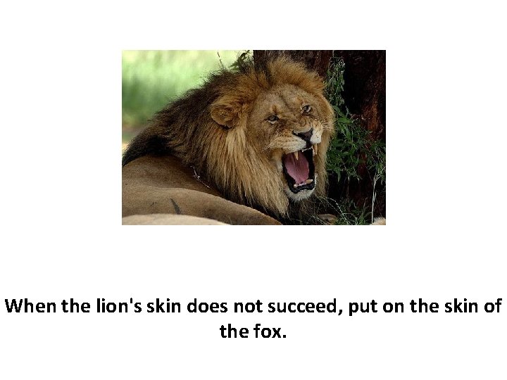 When the lion's skin does not succeed, put on the skin of the fox.