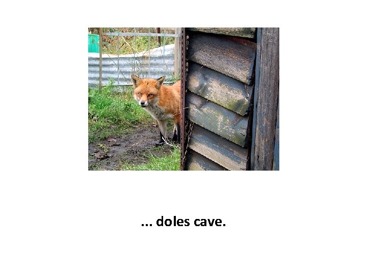 . . . doles cave. 