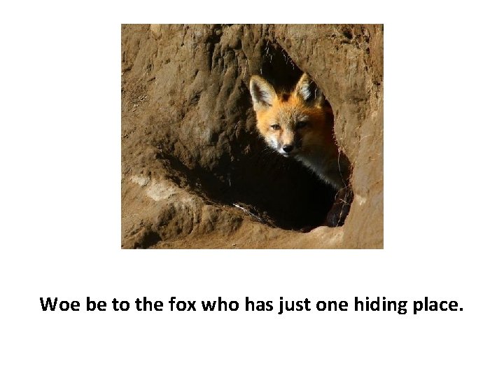 Woe be to the fox who has just one hiding place. 