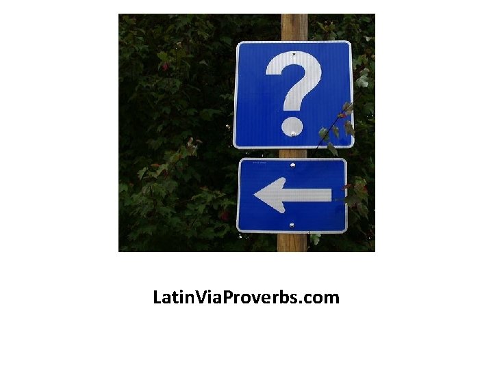 Latin. Via. Proverbs. com 