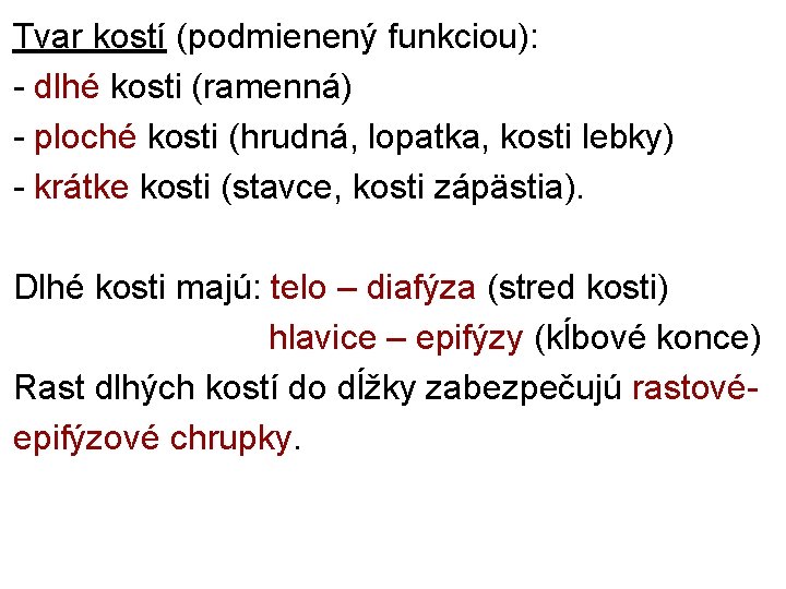 Tvar kostí (podmienený funkciou): - dlhé kosti (ramenná) - ploché kosti (hrudná, lopatka, kosti