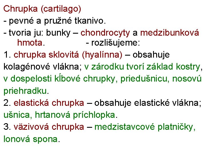 Chrupka (cartilago) - pevné a pružné tkanivo. - tvoria ju: bunky – chondrocyty a