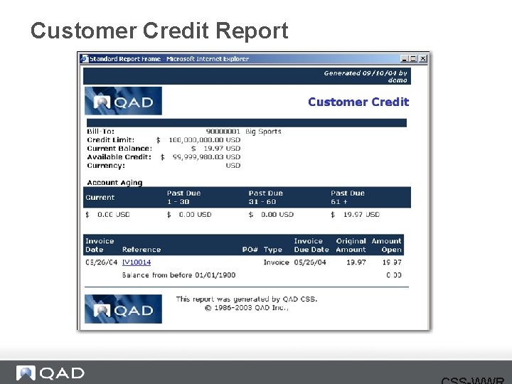 Customer Credit Report 