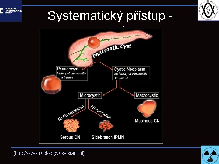 Systematický přístup anamnéza (http: //www. radiologyassistant. nl) 