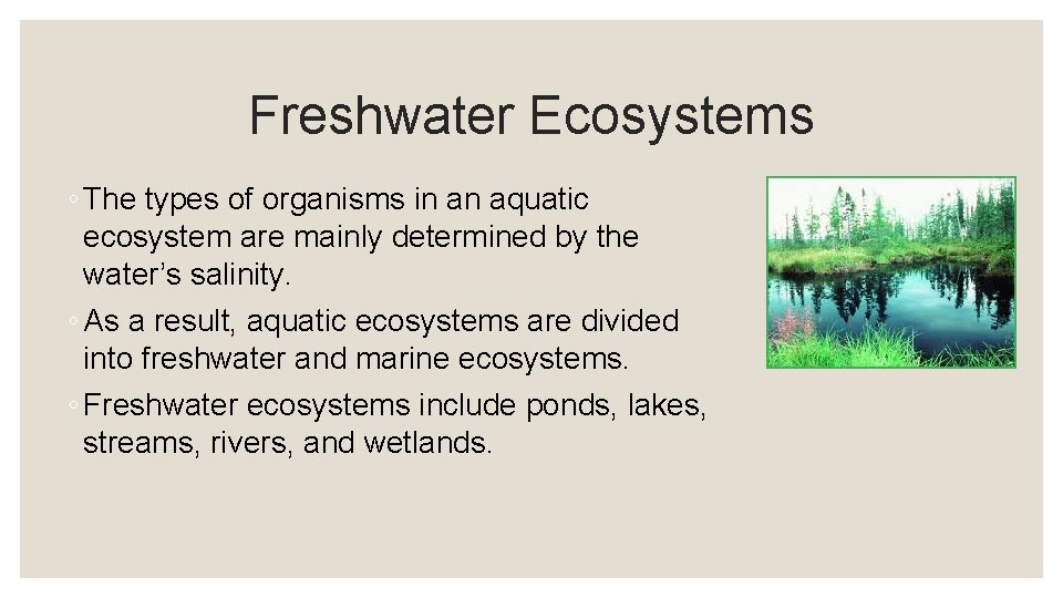 Freshwater Ecosystems ◦ The types of organisms in an aquatic ecosystem are mainly determined