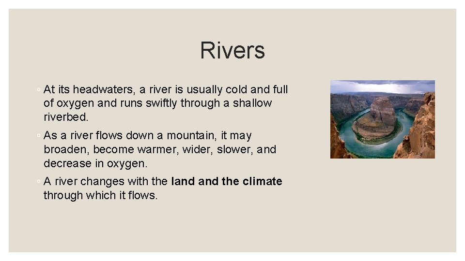 Rivers ◦ At its headwaters, a river is usually cold and full of oxygen
