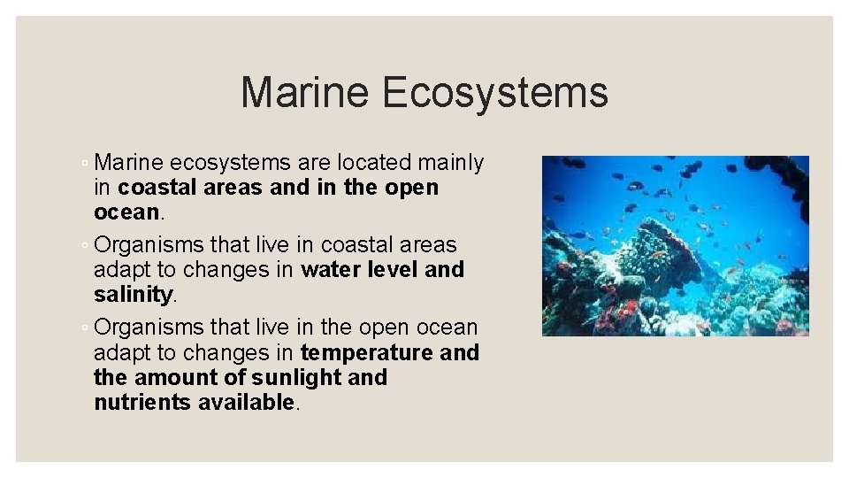 Marine Ecosystems ◦ Marine ecosystems are located mainly in coastal areas and in the